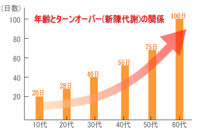 ターンオーバー.PNG